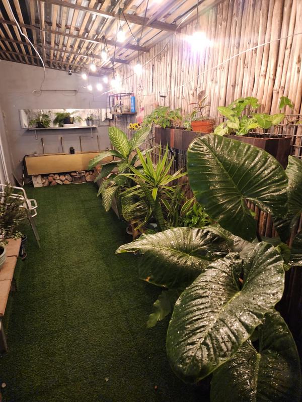 4 Bedroom Property for Sale in Mitchells Plain Central Western Cape